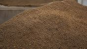 Russian rapeseed meal bulk