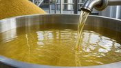Russian rapeseed oil bulk