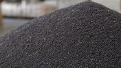 Russian rapeseed bulk